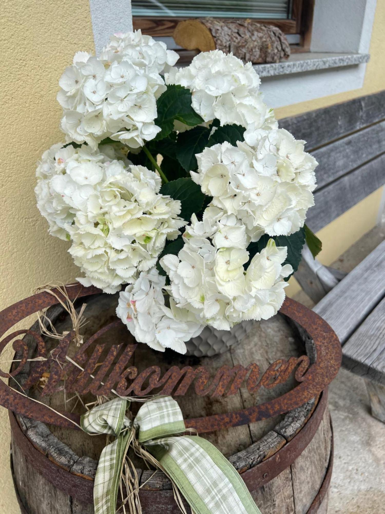 שטום Ferienwohnung Steinbock Terrasse, Gartensauna, Garten, Grillplatz מראה חיצוני תמונה